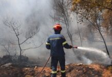 Φωτιά στο Μαρκόπουλο Αττικής – Συναγερμός στην πυροσβεστική
