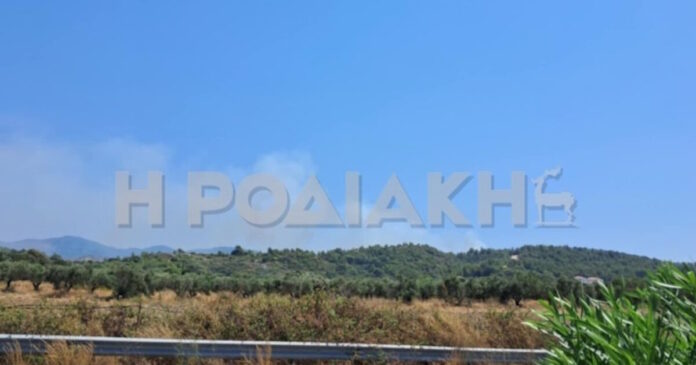 rodiaki3423-1200x630.jpg