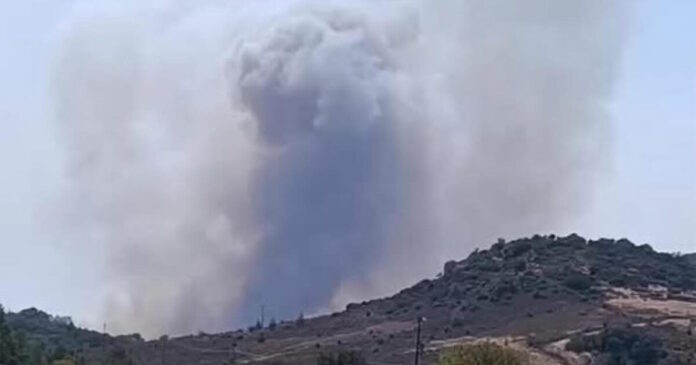 fotia-lesbos-1200x630.jpg