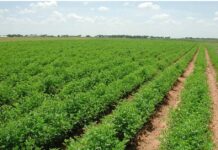 Νομοσχέδιο για τη νόμιμη μετανάστευση: Οι νέες ρυθμίσεις για άδειες και απασχόληση