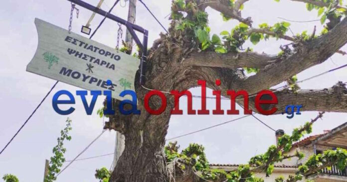 evoia-taverna-10102025-1200x630.jpg