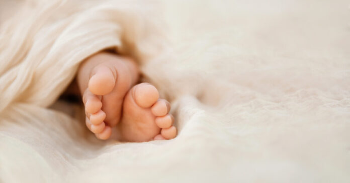 istock-1455070461-1-1200x630.jpg
