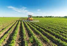 Υπουργείο Αγροτικής Ανάπτυξης: Πληρωμές και ενισχύσεις ύψους 1,2 δισ. στους αγρότες έως το τέλος του έτους – Συνολική καταβολή 3,8 δισ. το 2025