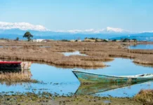 Αμβρακικός Κόλπος: Χωροθέτηση Περιοχών Οργανωμένης Ανάπτυξης Υδατοκαλλιεργειών (Π.Ο.Α.Υ.)