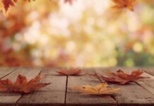 Τα 4 ζώδια που θα περάσουν τον καλύτερο Νοέμβριο