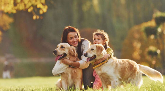 6 πράγματα που κάνει ο σκύλος σου επειδή τα κάνεις κι εσύ