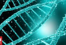 «Κασέτα DNA» αποθηκεύει έως και 1,5 εκατ. φορές περισσότερα δεδομένα από ένα smartphone