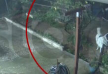 Καιρός – Άγιος Δημήτριος: Η στιγμή που σκύλος σώζεται τελευταία στιγμή από την κατάρρευση αυλής