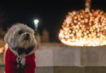 Έρευνα Klarna: Πώς επηρεάζει η ακρίβεια τους Έλληνες καταναλωτές για τις χριστουγεννιάτικες αγορές