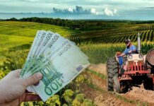 Τα κεντρικά αιτήματα των αγροτών – Πίεση για άμεσες και ουσιαστικές λύσεις