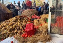 Ένταση στην Καβάλα: Διαμαρτυρία αγροτών με άχυρα, γάλα, ντομάτες και σταφύλια