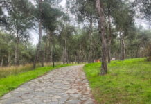 Συναγερμός για τους «τιμωρούς των παιδόφιλων» στη Θεσσαλονίκη – Οι τρεις ενέδρες και οι ξυλοδαρμοί