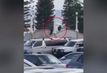 Αυστραλία: Έλληνες του Σίδνεϊ μιλούν στο MEGA για την τρομοκρατική επίθεση σε παραλία