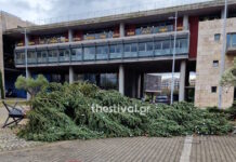 Θεσσαλονίκη: «Γκρεμίστηκε» το χριστουγεννιάτικο δέντρο μπροστά στο δημαρχείο λόγω ισχυρών ανέμων από την κακοκαιρία Byron