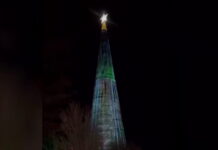 Χανιά: Φωταγωγήθηκε στο φαράγγι της Σαμαριάς ένα από τα μεγαλύτερα χριστουγεννιάτικα δέντρα της Ελλάδας