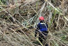 Σίκινος: Μακάβριο φινάλε για μία από τις δύο αγνοούμενες από το 2024 Γαλλίδες – Εντοπίστηκαν τα οστά της μίας