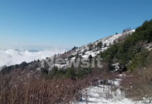 Σέρρες: Δεν ανήκει στον 45χρονο διοικητή της πυροσβεστικής των Άνω Ποροΐων το αυτοκίνητο που εντοπίστηκε στο όρος Μπέλλες