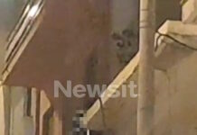 Γκύζη: Το δράμα πίσω από την οικογενειακή τραγωδία – Το σημείωμα και το τραγικό φινάλε με τη βουτιά θανάτου