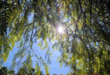 Καιρός σήμερα: Ηλιόλουστος με τοπικές νεφώσεις σε όλη τη χώρα – Αγγίζει τους 20 βαθμούς η θερμοκρασία