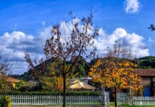 Καιρός αύριο: Ηλιοφάνεια με παροδικές νεφώσεις – Στους 17 βαθμούς η θερμοκρασία στην Αττική