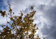 Καιρός αύριο: Άνοδος της θερμοκρασίας σχεδόν σε όλη τη χώρα