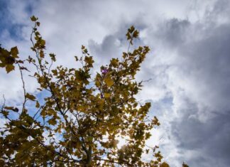 Καιρός αύριο: Άνοδος της θερμοκρασίας σχεδόν σε όλη τη χώρα