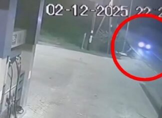 Κυπαρισσία: «Ήταν ταραγμένος, έτρεμε», λέει ο άνθρωπος βοήθησε τον 47χρονο κτηνίατρο αφού τον άφησαν ελεύθερο οι απαγωγείς