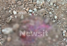 Άνω Λιόσια: Η μοιραία παράκαμψη κόστισε τη ζωή του άνδρα που παρασύρθηκε από το τρένο – Σημαντικές καθυστερήσεις στα δρομολόγια