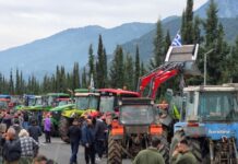 Μπλόκα αγροτών: Ενισχύουν τις κινητοποιήσεις τους στις Εθνικές Οδούς – Αύριο κλείνει και το Κάστρο στη Βοιωτία