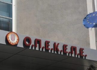 ΟΠΕΚΕΠΕ: Υψηλά ντεσιμπέλ στην εκδίκαση της αγωγής της Τυχεροπούλου κατά του Οργανισμού- «Ήμουν το μαύρο πρόβατο» λέει η ίδια