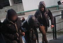 Κύκλωμα αγροτικών επιδοτήσεων: Εγγυήσεις – μαμούθ σε σύζυγο και αδερφή φερόμενου ως εγκέφαλου της οργάνωσης