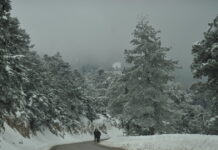 Καιρός: Έρχονται χιόνια στις κορυφές της Πάρνηθας και πτώση της θερμοκρασίας – Η πρόγνωση των επόμενων ημερών