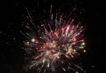 Τι είναι τα αθόρυβα πυροτεχνήματα και πως συμβάλουν στην προστασία των ζώων