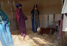 Βόλος: Οι αντιδράσεις για το ζωντανό πόνι μέσα στη φάτνη και η απάντηση του Αχιλλέα Μπέου