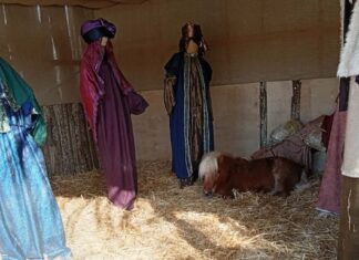 Βόλος: Οι αντιδράσεις για το ζωντανό πόνι μέσα στη φάτνη και η απάντηση του Αχιλλέα Μπέου