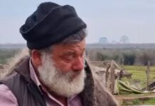 Εξιτήριο πήρε ο κτηνοτρόφος που είχε καταρρεύσει για τα πρόβατά του – «Έπαθε εγκεφαλικό» λέει η γυναίκα του