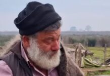 Κτηνοτρόφος αποχαιρετά με δάκρυα στα μάτια τα 450 πρόβατά του, που θα θανατωθούν λόγω της ευλογιάς – «Τα φύλαξα από την πείνα και τους λύκους»