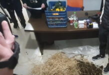 Αγρότες σε Τρίκαλα και Αγρίνιο μπούκαραν σε γραφεία γαλάζιων βουλευτών αφήνοντας σανό, κοπριά και πορτοκάλια