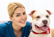 Η σημασία της εξατομικευμένης διατροφής με βάση το μέγεθος και τη φυλή του σκύλου