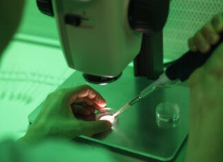 Επτά κλινικές στην Ελλάδα έλαβαν το σπέρμα του Δανού δότη με το γονίδιο καρκίνου – Εντοπίστηκαν 4 περιπτώσεις φορέων