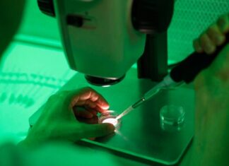 Ποιο το μέλλον των 18 παιδιών που γεννήθηκαν από το σπέρμα του δότη με μετάλλαξη που προκαλεί καρκίνο