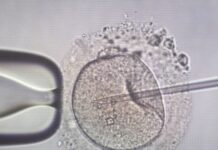 Πλημμελείς οι έλεγχοι των δοτών γενετικού υλικού πανευρωπαϊκά – Η Ελλάδα εξακολουθεί να παίρνει σπέρμα από τη Δανία