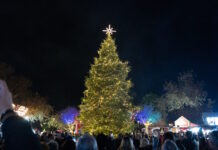 Θεσσαλονίκη: Φωταγωγήθηκε το Χριστουγεννιάτικο Δέντρο που στολίζει το «Χωριό των Μαγεμένων»
