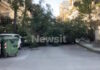 Θεσσαλονίκη: Δέντρα έπεσαν εξαιτίας των θυελλωδών ανέμων