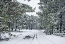 Καιρός Πρωτοχρονιάς: Ψυχρή εισβολή εξπρές – Χιόνια στην Αττική, χαμηλές θερμοκρασίες με ανέμους που «ξυρίζουν»