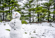 Επέλαση ψύχους σε όλη τη χώρα με χιονοπτώσεις – Πιθανότητα χιονοκαταιγίδων στο βόρειο Αιγαίο