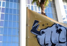 Χρυσή Αυγή: Καταπέλτης η εισαγγελέας – Εγκληματική οργάνωση με ναζιστική ιδεολογία η Χρυσή Αυγή