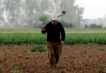 Αγροτικός τομέας: Σύσταση ομάδων ελέγχου για έργα του Ταμείου Ανάκαμψης