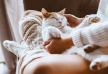 Γιατί η γάτα σου κοιμάται πάνω σου; Τα μυστικά πίσω από αυτή την τρυφερή συνήθεια
