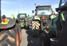 Τι περιλαμβάνουν τα μέτρα που ανακοίνωσε η κυβέρνηση για τους αγρότες